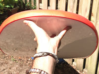 9'0" Liquid Shredder EZ-Slider - Red